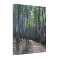 Bamboo Forest Canvas
