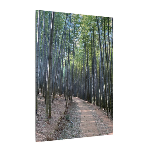 Bamboo Forest Canvas