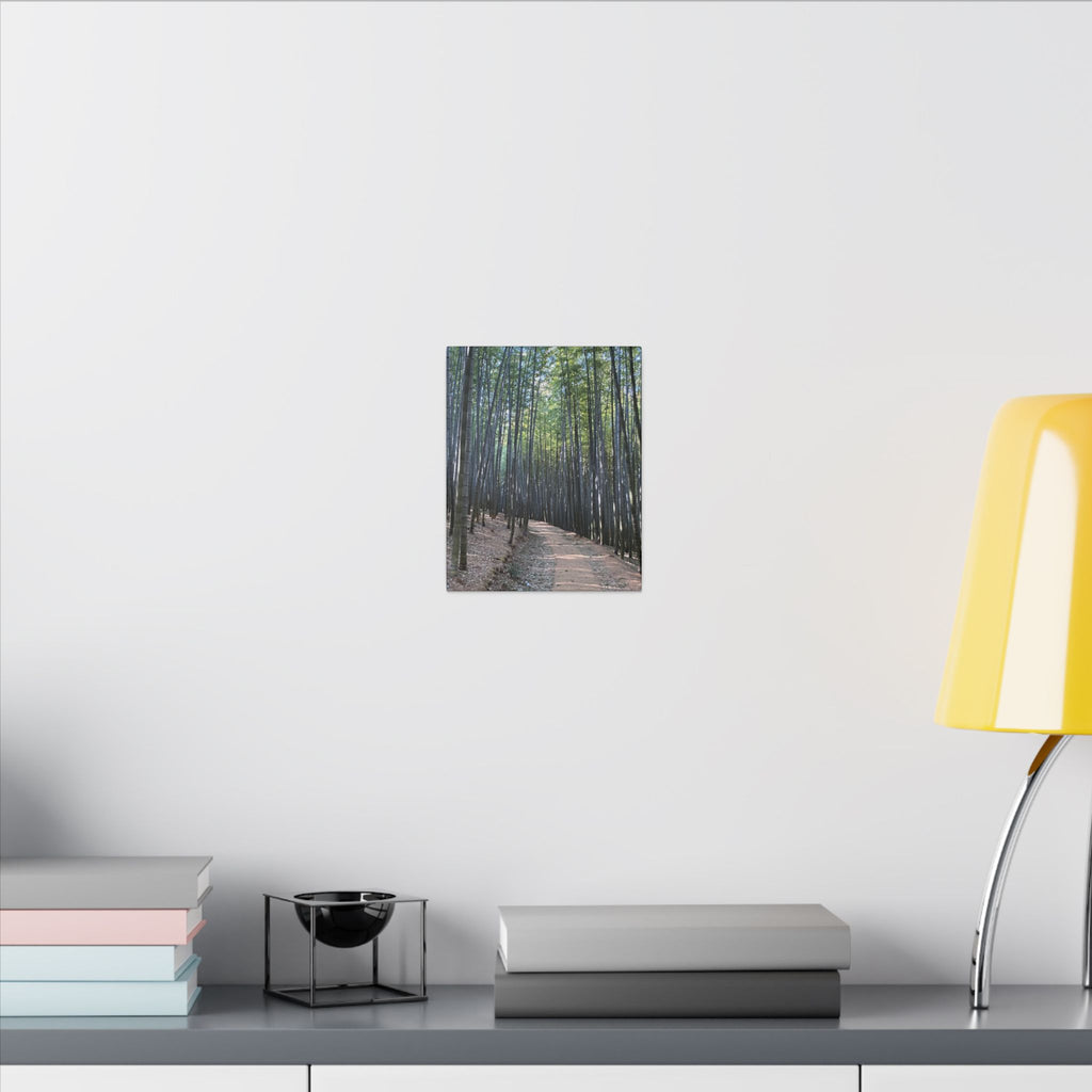 Bamboo Forest Canvas
