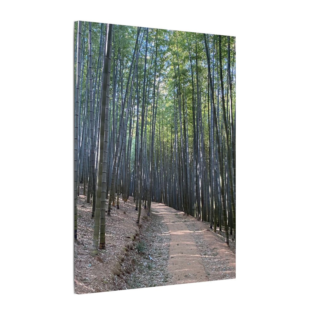 Bamboo Forest Canvas
