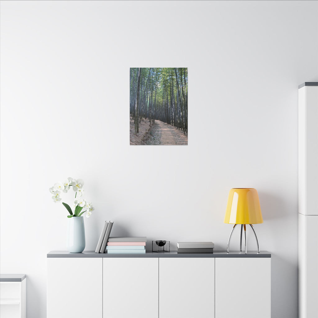 Bamboo Forest Canvas